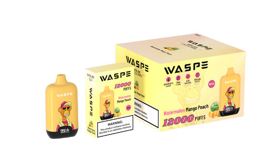 12000Puffs одноразовая вейп-ручка, оборудованная сетчатой катушкой и зарядным кабелем типа C
